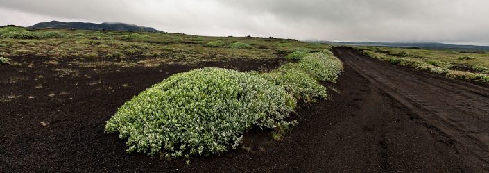 Photo Islande exposition Sébastien Boulard Auxerre