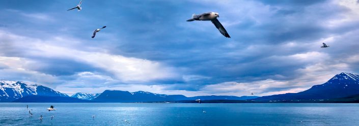 Photographe professionnel Auxerre en Islande